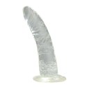 Dildo-FALLO JELLY REAL RAPTURE CLEAR 7" Dildo-FALLO JELLY REAL RAPTURE CLEAR 7"