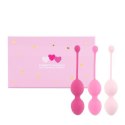 FeelzToys - FemmeFit Advanced Pelvic Muscle Training Set 3 pcs FeelzToys - FemmeFit Advanced Pelvic Muscle Training Set 3 pcs
