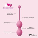 FeelzToys - FemmeFit Advanced Pelvic Muscle Training Set 3 pcs FeelzToys - FemmeFit Advanced Pelvic Muscle Training Set 3 pcs
