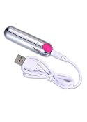 Wibrator-Strong Bullet Vibrator Silver/Pink USB 10 Function Wibrator-Strong Bullet Vibrator Silver/Pink USB 10 Function