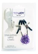 Stimulating Nipple Chain Metal Stimulating Nipple Chain Metal