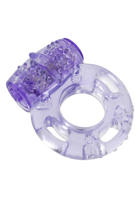Super Sex Bomb Purple Super Sex Bomb Purple